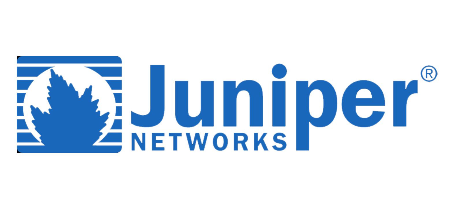 Juniper